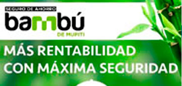 bambu banner
